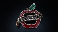 Vintage Gold Tone Enamel Apple Teacher Brooch Pin Size: 5cm x 4.5cm BB3