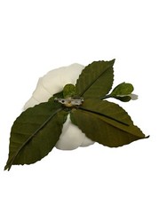 Vintage Camellia flower silk pin boutonniere lapel Millenary for Hat or Cocktail