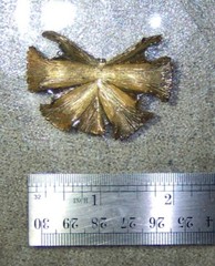 Vintage S.G. D’OR Dress or Shoe Clip On gold tone Flower or Leaf