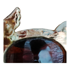 Trifari Brooch Womens Gold Mix Birthday Tortoise Shell Turtle Collectible