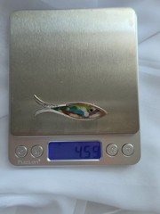 JOSE FEDERICO TAXCO Mexican Sterling Silver Rainbow Guilloche Enamel Fish Pin