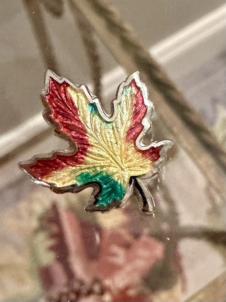 Vintage Signed BM Co Sterling Silver Multi Color Enamel Maple Leaf Brooch 3/4”