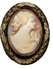 Vintage Carved Cameo Brooch Intricate Woven Frame Mixed Metal Gold Plated Leaves