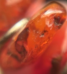 Amber Nuggets With-Insect..charms, Chains, Necklace