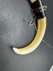 Vintage 19th Century Bear Double Tusk Pendant & Chain