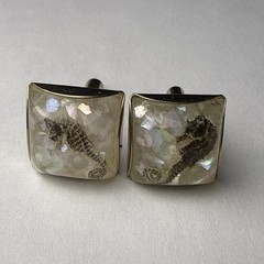 Rare 1960s Genuine Seahorse Confetti Lucite Domed Cuff Links-aquatic Sea Life