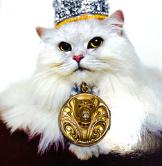 U*N*U*S*E*D* OUTSTANDING Victorian Paste GF *BULLDOG* Locket EXCELLENT CONDITION