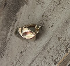 Vintage Conch Sea Shell Gold tone Hinged Scarf Clip 🐚