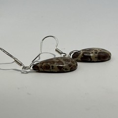 Teardrop Asteroid Jasper Sterling French Wire Earrings Natural Gemstone Casual