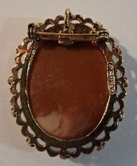 Gerry’s Signed Vintage Faux Resin Cameo Framed Woman Brooch Pin Pendant