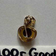 Vintage 14K Yellow Gold Rhodolite Garnet Spider Beetle Insect Brooch Pendant