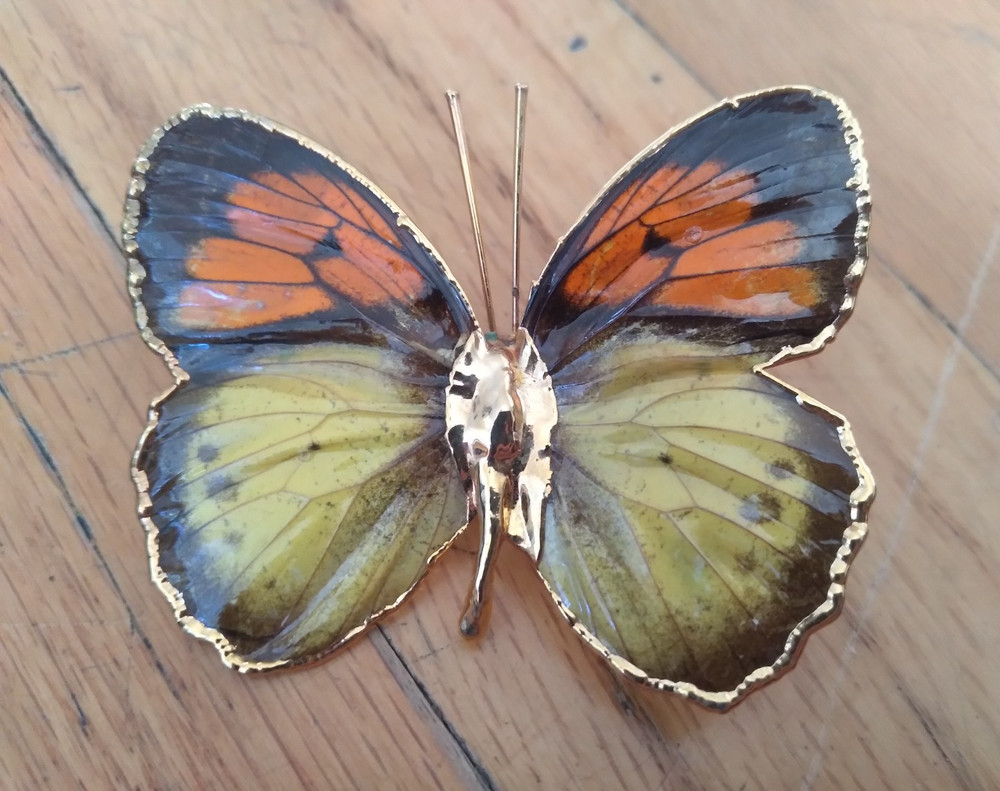 Vintage Butterfly Brooch 2 Inches Yellow Orange Gold Dipped Edging