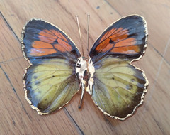 Vintage Butterfly Brooch 2 Inches Yellow Orange Gold Dipped Edging