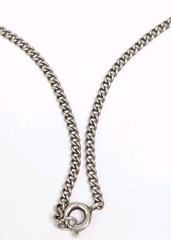 Victorian Antique Dik Dik Horn Necklace Pendant Sterling Silver Bezel And Chain