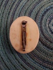 Oval Resin Floral Cameo-Style Brooch Pin, Cream, Women’s Fashion Jewelry