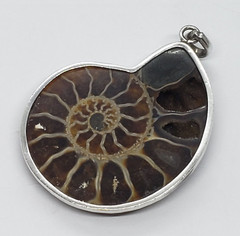 Vintage Large Ammolite Opalized Ammonite Mollusk Fossil Sterling Silver PENDANT