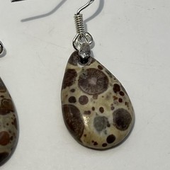 Teardrop Asteroid Jasper Sterling French Wire Earrings Natural Gemstone Casual