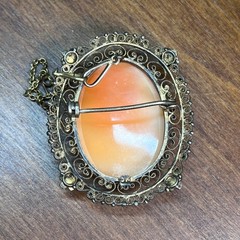 Vtg Hand Carved Shell Cameo Brooch Pendant Gold Tone Filigree Frame Safety Chain