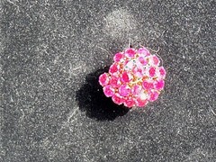 VINTAGE RARE FUSCHIA SAPHIRE COCKTAIL RING
