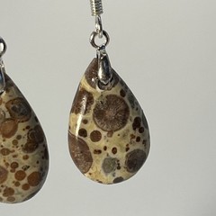 Teardrop Asteroid Jasper Sterling French Wire Earrings Natural Gemstone Casual