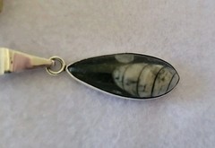 VTG Sterling Silver 925 Orthoceras Fossil Pendant W/ 20″ Rope Chain Necklace