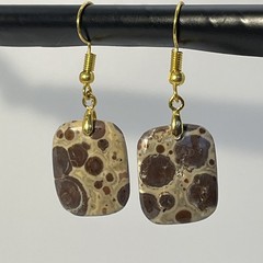 Asteroid Jasper Gold French Wire Earrings Natural Gemstone Earthy Cosmic Casual