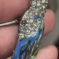 CORO Duette Brooch: Blue Calopsitta / Birds of Paradise