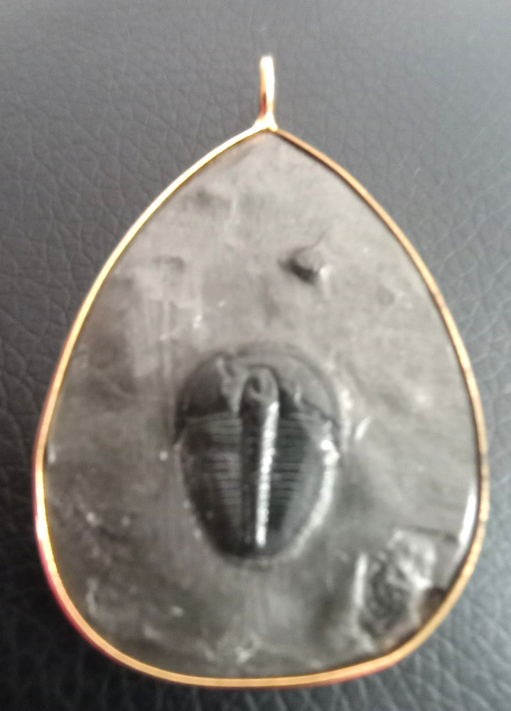 Trilobite fossil pendant gold rimmed metal teardrop shape, large