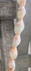 Vintage Natural Shell Bead Necklace Strand Approx 20″ Layering Coastal Boho Chic