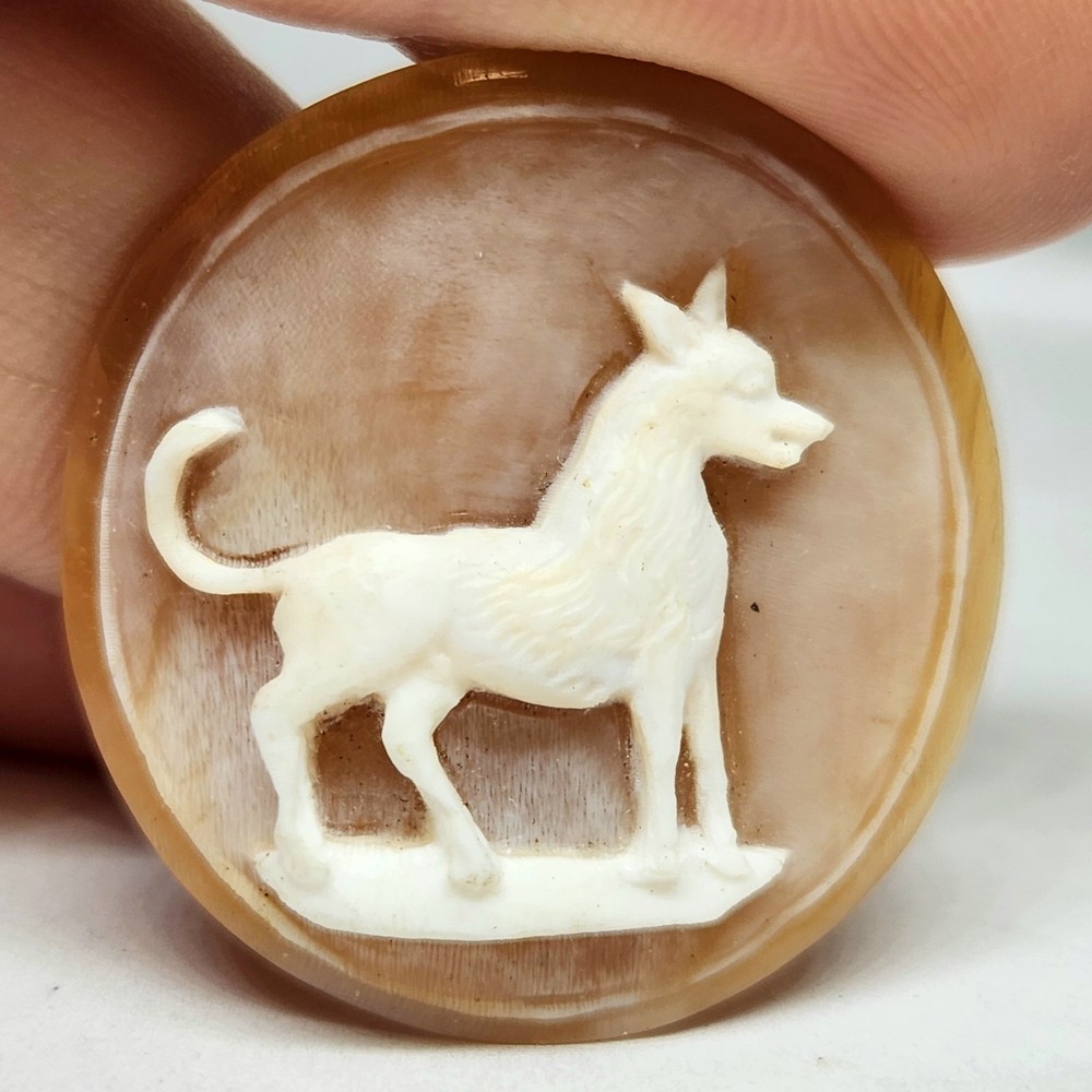 Rare! Victorian Vintage Hunting Dog Hound High Relief Cameo Shell 1 1/4 Inch
