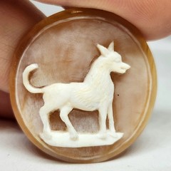 Rare! Victorian Vintage Hunting Dog Hound High Relief Cameo Shell 1 1/4 Inch