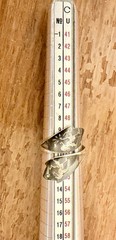 Siam Sterling Silver Vintage Ring Size 5 1/2
