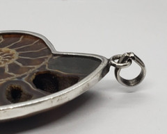 Vintage Large Ammolite Opalized Ammonite Mollusk Fossil Sterling Silver PENDANT