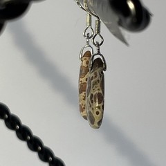 Teardrop Asteroid Jasper Sterling French Wire Earrings Natural Gemstone Casual