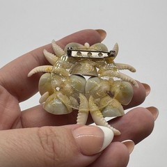 Antique Victorian Seaside Souvenir Brooch Purple Natural Shell Flower Pin J55