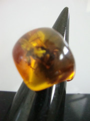 Vtg Unique Pressed Amber Lucite with Insect Ring 6.75US