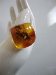 Vtg Unique Pressed Amber Lucite with Insect Ring 6.75US