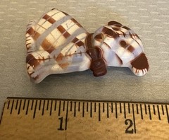 Art Deco Vintage Celluloid Gingham Dog Brooch brown and tan plaid pattern