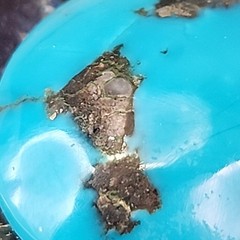 Vintage Turquoise Necklace Pendant Scalloped Copper 23″