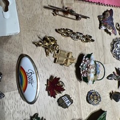 Vintage lot of Assorted Brooches / Pins. 43 Pieces.