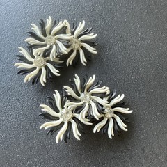 VTG Climber Lucite Black White Flower Earrings 50s Clip Daisy Cluster Rhinestone