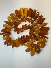 239g Antique Natural Butterscotch egg Yolk Baltic Amber Necklace Graduated