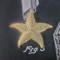 Vintage Monet (Signed) Starfish, Goldtone, Brooch, 2.5″