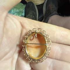Oval Cameo Brooch Pin goldfield outer ring ￼￼