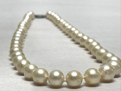 Vintage Akoya Cultured Pearl Necklace 15in Choker 7.8mm Cream Knotted Silver