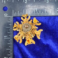 Vintage Enamel Brooch Clip on Earrings Set Flower Fall Acorn Tree Autumn