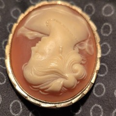 Oval Cameo Portrait Brooch Pin Gold Tone Frame Pink & Ivory, Beauty Theme