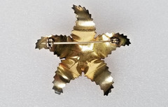 Vtg Norway Ivar Holth Gilt Sterling Silver Enamel Starfish Brooch 45mm 8.18 gram