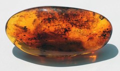 VINTAGE/ ANTIQUE GENUINE BALTIC AMBER BROOCH WITH FOSSIL INSECTS 19.5g