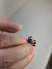 Lovely Carol Lee and Unbranded Gold and Silver Tone Faux Pearl Pierced Earrings